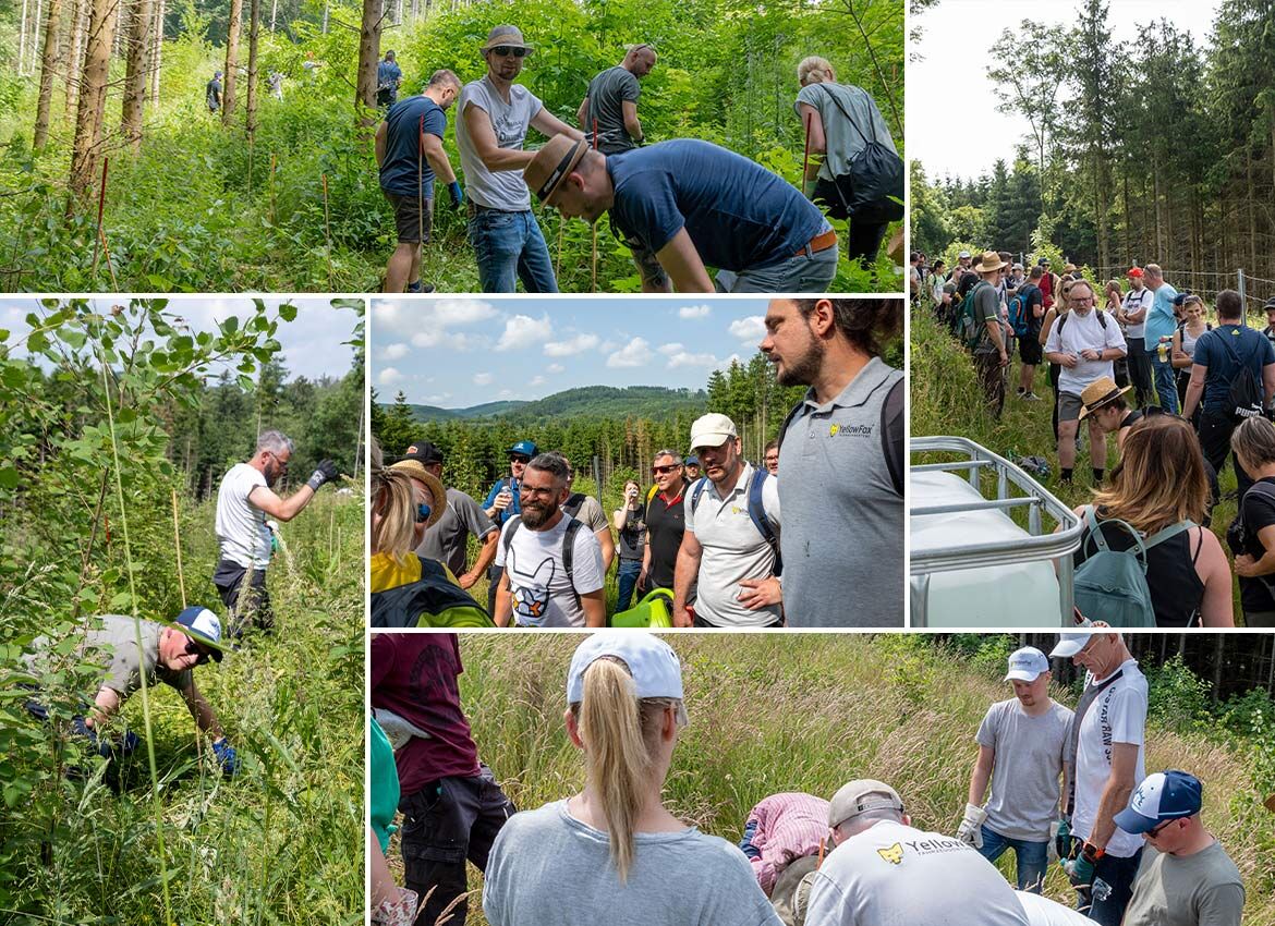 Wandertag