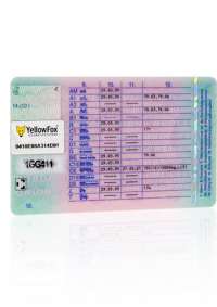 Nfc Tag elektronische Führerscheinkontrolle